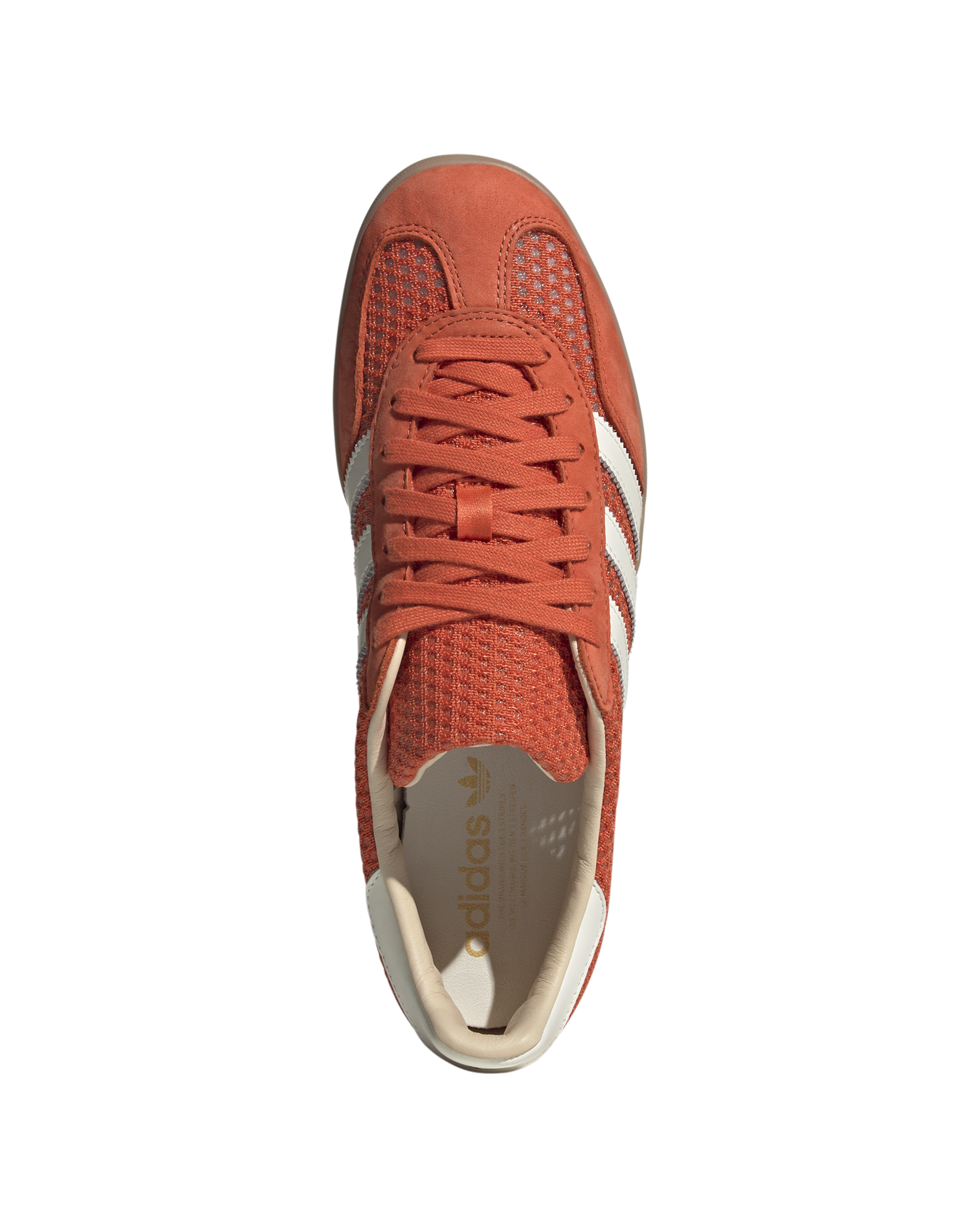 Gazelle Indoor