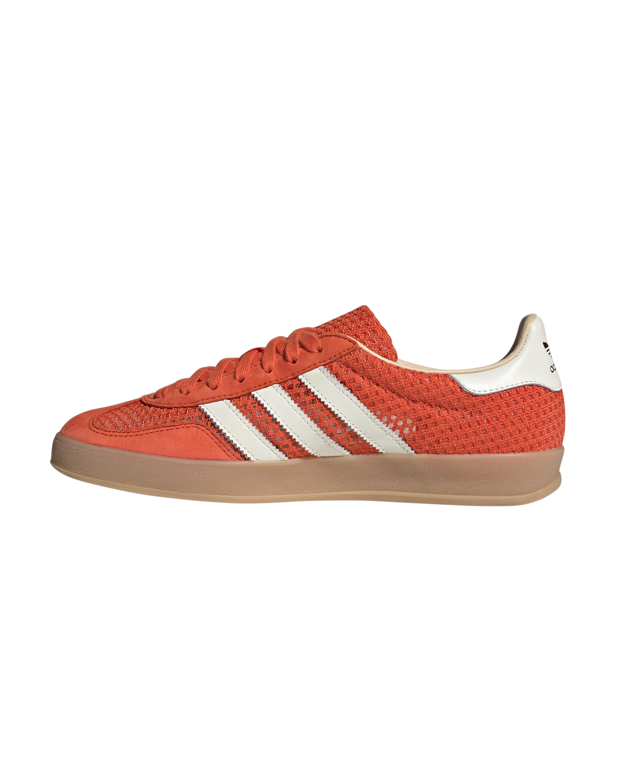 Gazelle Indoor
